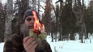 Alternative Friction Fire Tinder Nest Materials