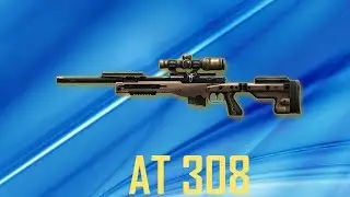 Warface: AT 308
