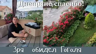 Видео  привет Палке 👋Зря обидел Гоголя 🤷.Распаковка  посылки 📦