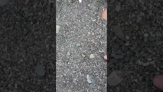 закопали Еву на пляже (2019)