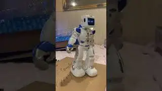 9 ноября 2023 г.