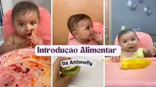 Como Introduzir Alimentos para o bebê : Meu relato com a Antonelly ( Introdução alimentar real)
