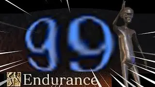99 Endurance【DKS3】
