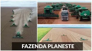 A GIGANTESCA FAZENDA PLANESTE - SLC AGRÍCOLA - RETROSPECTIVA.