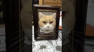 Turn a cat from an electronic photo into a 3D photo. 