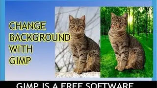 Change/Remove Background with Gimp for free