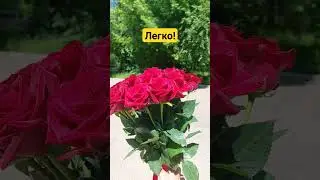 Ангарск не только на это способен..