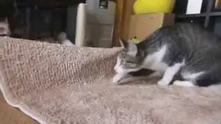 Здесь нельзя танцевать