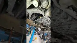 11 февраля 2023 г.
