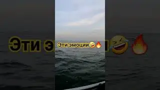 судак на паролон👍#судакнаджиг #веселовскоеводохранилище #маныч #рыбалка #рыбалканасудака
