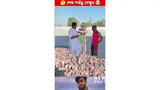 জাদুকরি টাকার মেশিন #funnyvideos