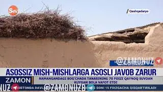 Qashqadaryoda chiqqan mahluq o‘ldirildimi?