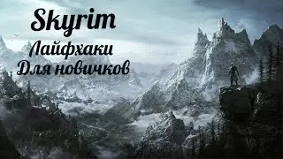 Skyrim (Баги и лайфхаки)