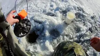 Зима,  конец 2021г.