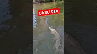 #fishing #youtubeshorts #youtuber #рыбалка #рек #рекомендации #врек