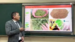 Beda yetishtirish texnologiyasi - Беда етиштириш технологияси