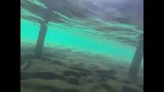 Водний мир.