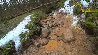 #BISON