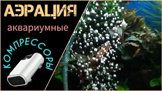 Аэрация. Масштабный обзор аквариумных компрессоров.