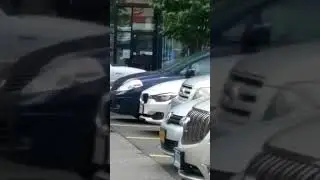 Las palomas compartiendo su comida