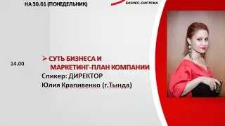 Суть бизнеса  Юлия Крапивенко 30.01.2017