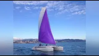 Парусный Катамаран Артмарин 31 в Сочи
