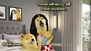 New funny memes#sinhala#2023