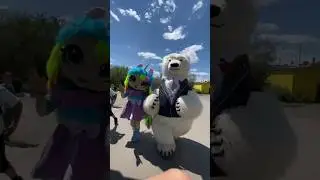 Белый мишка гуляет с подружкой по городу! 
