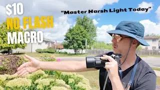 Transform Your Macro Photography for $10 – No Flash, Just Gorgeous Light!