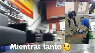 paladino