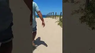 Glimpse of Sydney Beaches and its golden glittering sands... one of many ⛱️