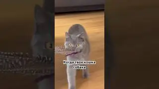 Так и живем. 