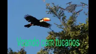 Drone voando com Tucanos