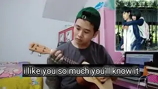 i like you so much you'll know it -ukulele fingerstyle (by acw channel)