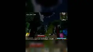 Minecraft В высокогорье посадил волшебные бобы, из которых выросло растение до заоблачных коттеджей
