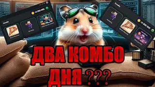 ДВА КОМБО ИЛИ ВСЕ ТАКИ ОДНО!? 16 июля новое комбо Хамстер Комбат | HAMSTER KOMBAT комбо карты 16.07