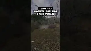 Первая аномалия в Тенях Чернобыля #stalker #shorts #shortvideo #сталкер #аномалия #тч #теньчернобыля