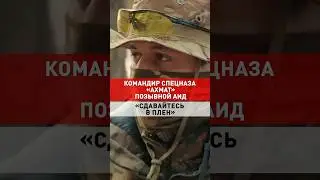 Командир спецназа про глупость противника /Почему противник не сдается в плен? #война #россия #short