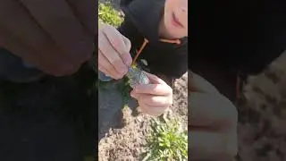 работаем :)