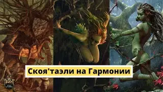 Гвинт. Белки на Гармонии. Гайд и Бои.