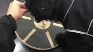 TPSC PK Clover - Wobble Board Interaction