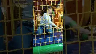 CHILDREN'S AMUSEMENT PARK Karina plays in the playground