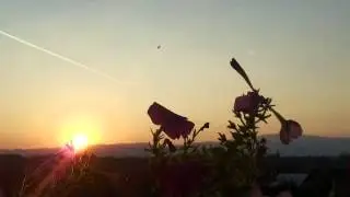 Lume buna,lume draga...Buna dimineata !