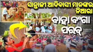 ସାନ୍ତାଳୀ ଆଦିବାସୀ ମାନଙ୍କର ବାହା ବଂଗା ପରବ୍ !! SANTALI CULTURE CELEBRATION !! SANTALI TRIBE ODISHA