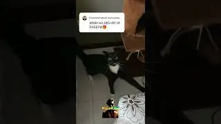 Боже, помогите кто-нибудь!😆 