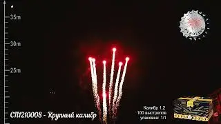 СП1210008   Крупный калибр