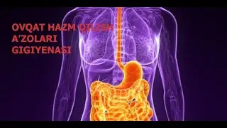 OVQAT HAZM QILISH A'ZOLARI GIGIYENASI | ОВҚАТ ҲАЗМ ҚИЛИШ  АЪЗОЛАРИ ГИГИЕНАСИ.