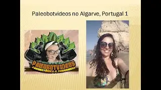 Paleobotvideos na praia da rocha em Portugal.