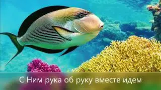 Радуйтесь