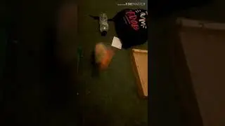 Asmr 15 subscribers special